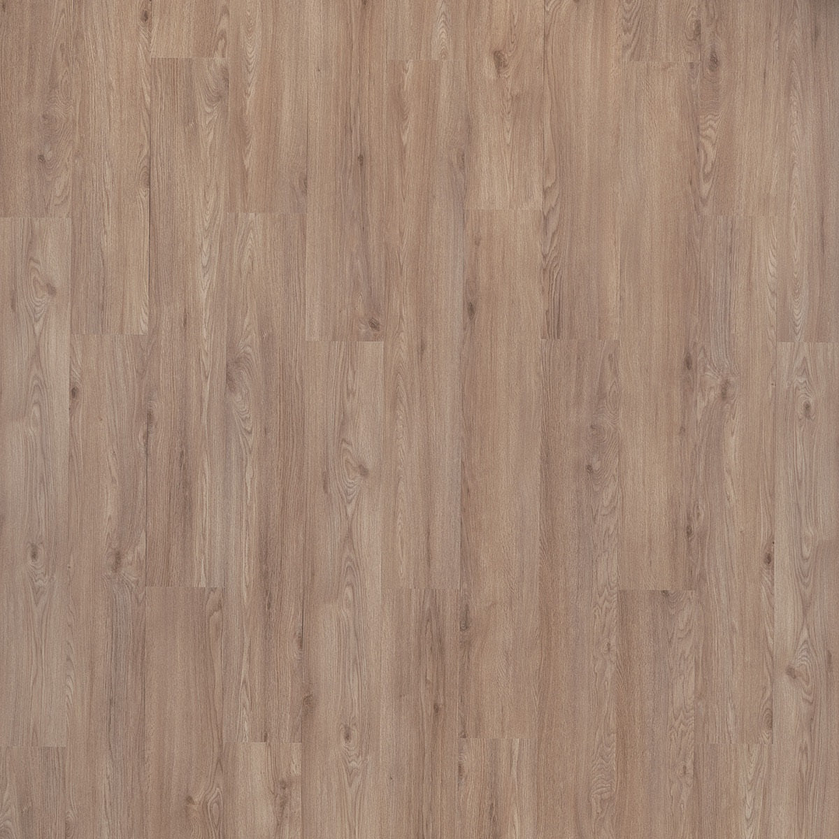 Beautifloor Bay 420011 Joe PVC vloer - verfijnde eiken houtlook die een modern, stijlvol en uitnodigend interieurontwerp biedt