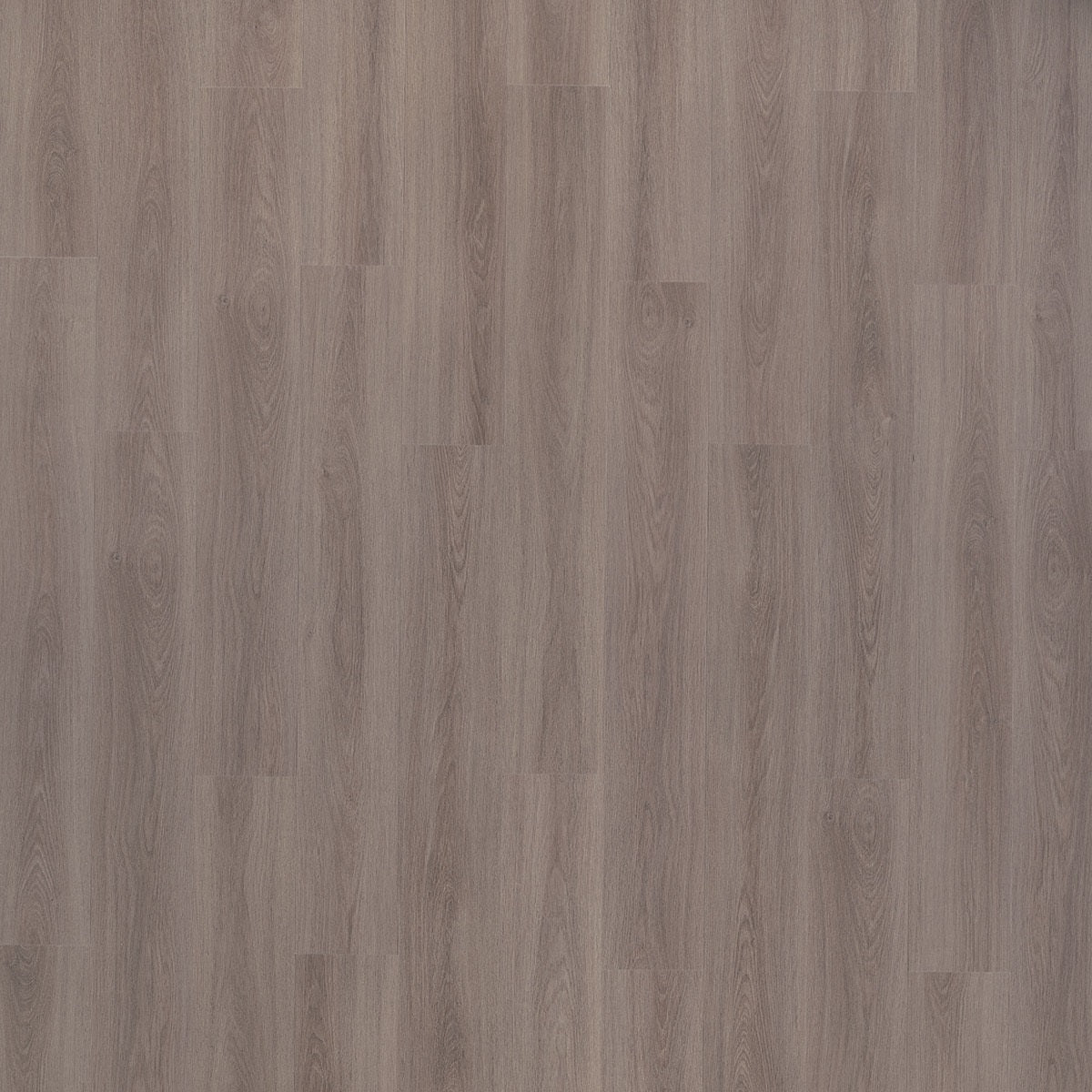 Beautifloor Bay 420012 Manatee PVC vloer - elegante eiken houtlook voor een eigentijds, chic en gastvrij woongevoel