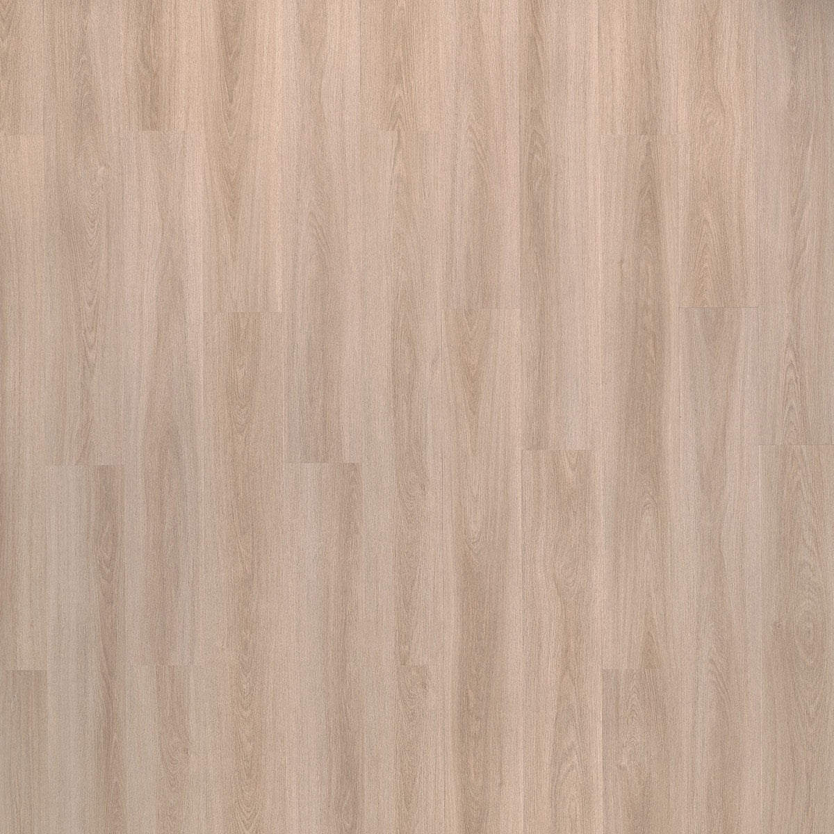 Beautifloor Bay 420013 Whitewater PVC vloer - verfijnde eiken houtlook die een modern, stijlvol en uitnodigend interieurontwerp biedt