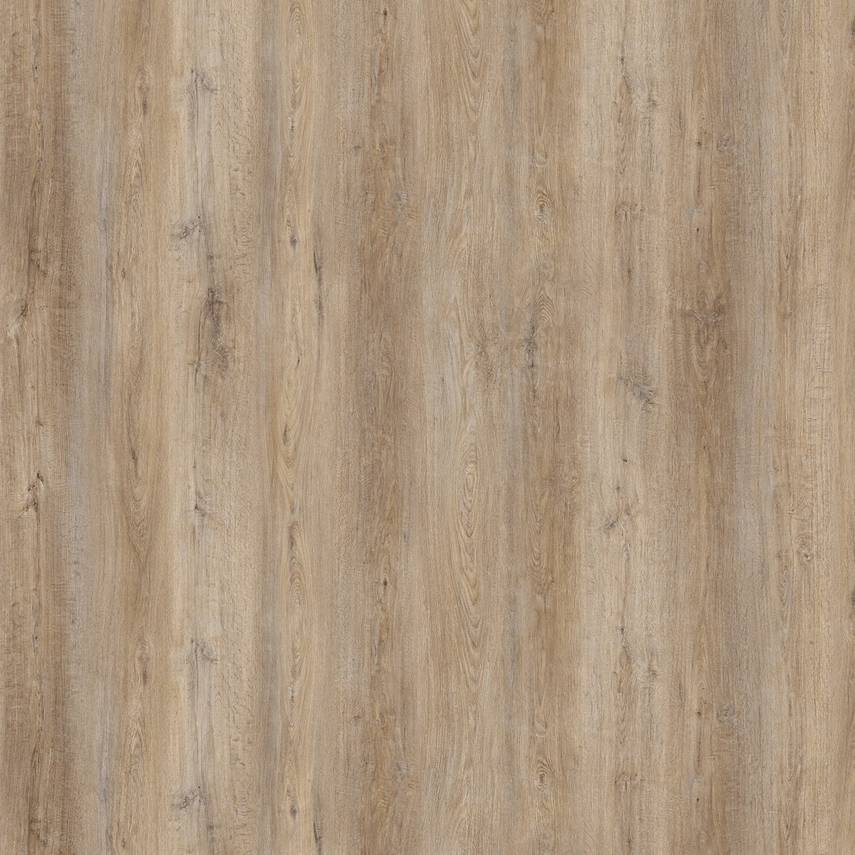 Beautifloor Henegouwen Lens BTW339L