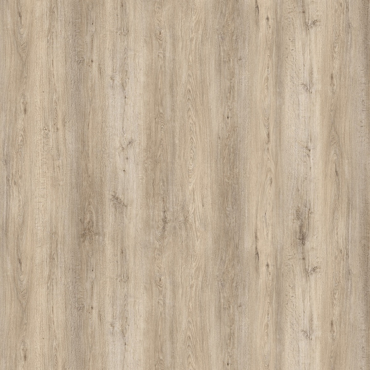 Beautifloor Henegouwen Zinnik BTW338L