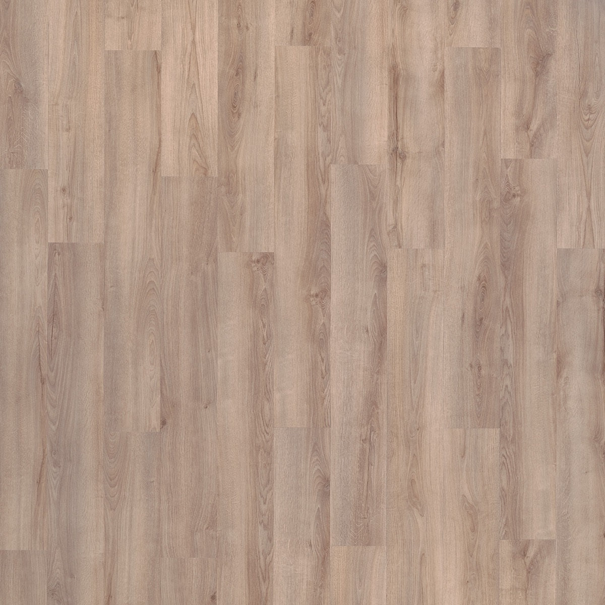 Beautifloor Lake 420020 Tracy PVC vloer - verfijnde eiken houtlook die zorgt voor een modern, stijlvol en uitnodigend interieurontwerp