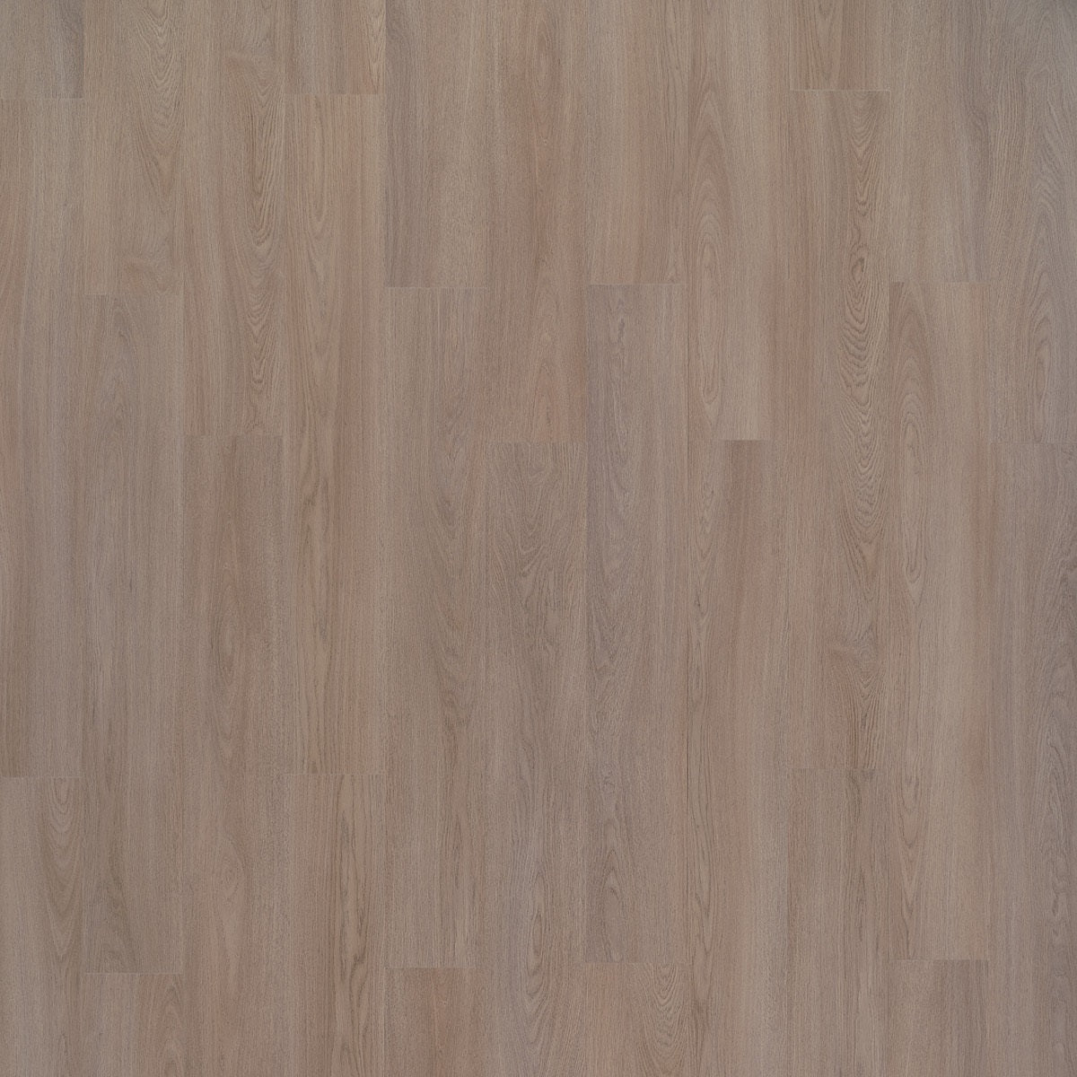Beautifloor Lake 420024 Conlin PVC vloer - verfijnde eiken houtlook die een modern, stijlvol en uitnodigend interieurontwerp creëert