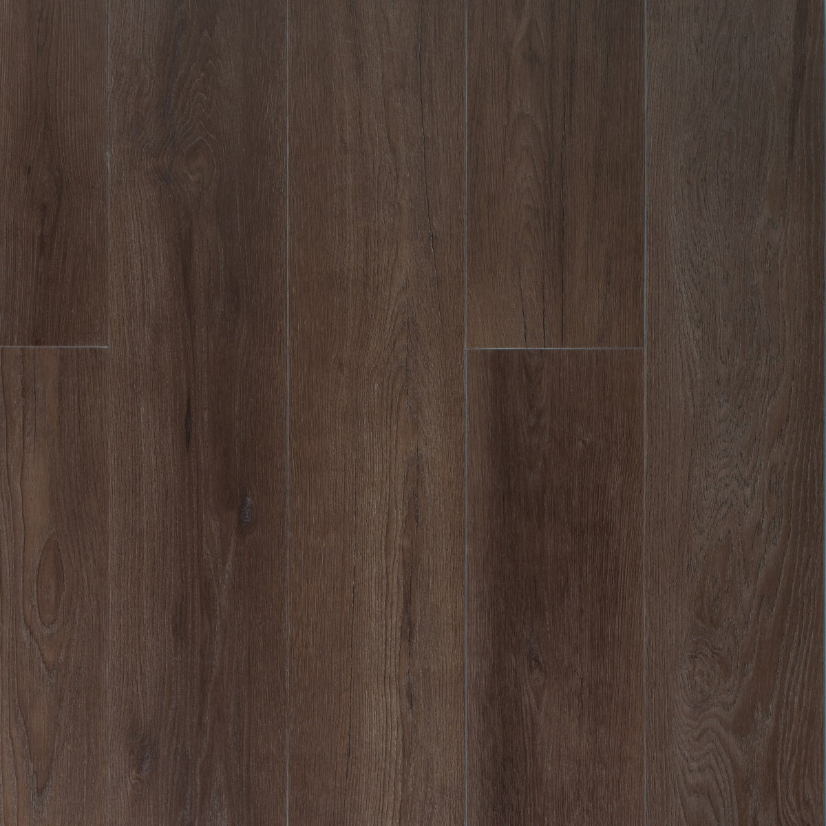 Douwes Dekker Ambitieus Riante Plank 04727 Bastogne Koek PVC vloer, biedt een duurzame en stijlvolle afwerking, ideaal voor moderne woonruimtes