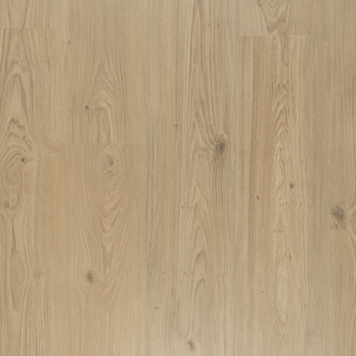 Douwes Dekker Ambitieus Riante Plank 07803 Panna Cotta PVC vloer, biedt een duurzame en stijlvolle afwerking, ideaal voor moderne woonruimtes