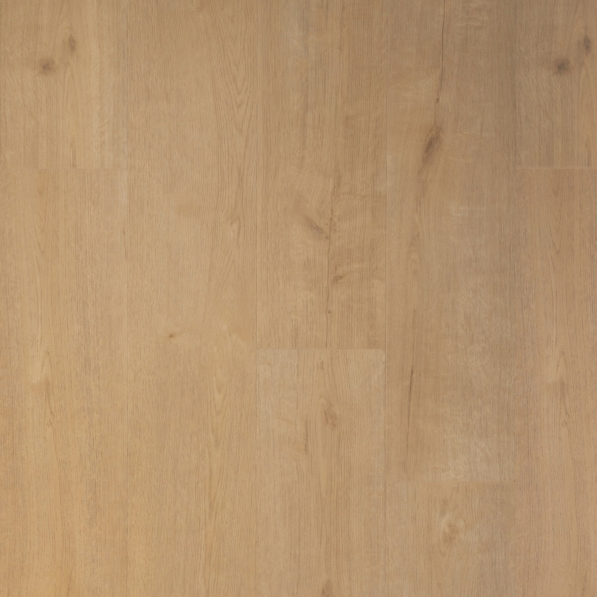 Douwes Dekker Praktisch Plank 04739 Biscuit PVC vloer, stijlvolle perfectie voor moderne woonruimtes en tijdloze industriële interieurs