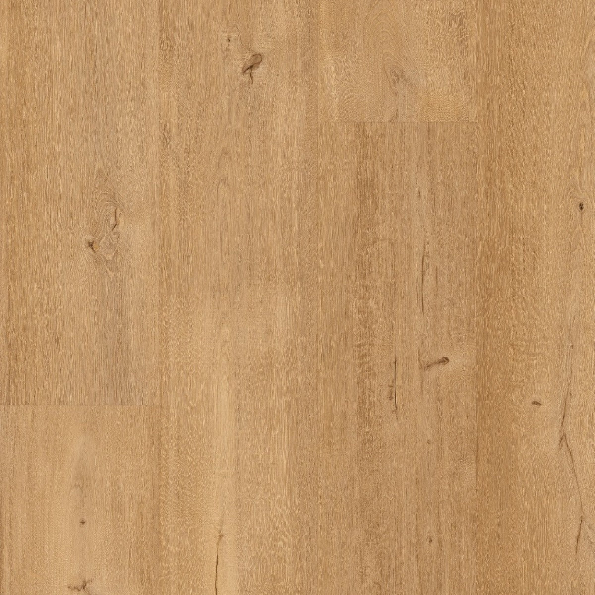 Floorify XL Planken F095 Frangipane PVC vloer - luxe extra lange en brede planken die zorgen voor een eigentijds, stijlvol en uitnodigend interieur