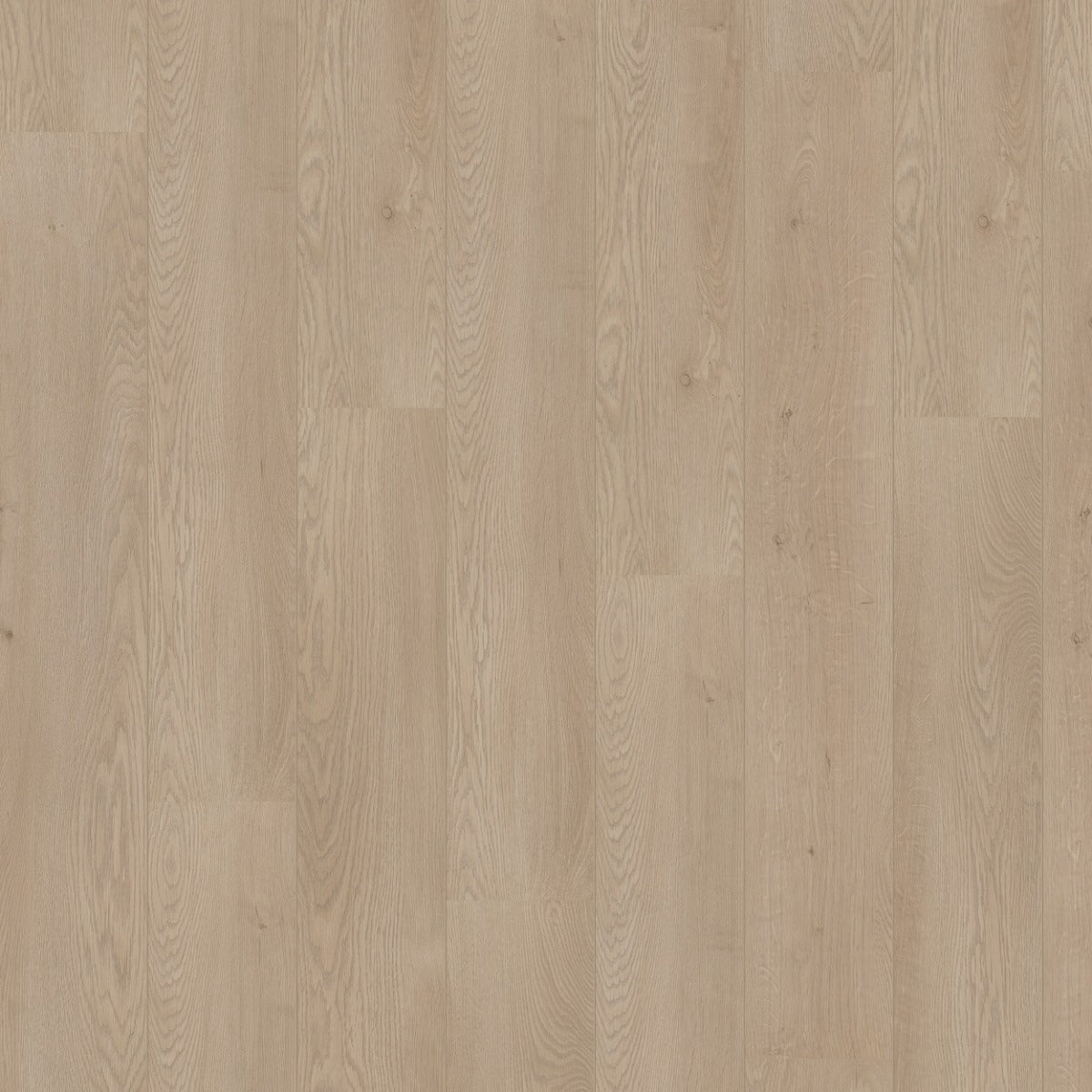 Hoomline Royal Aqua 5299 Molise
