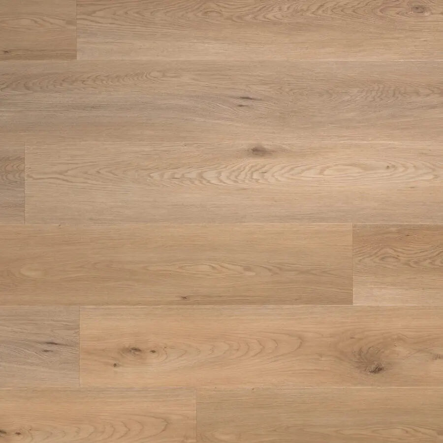 Lamett Tarn Chestnut TAR-849-IB