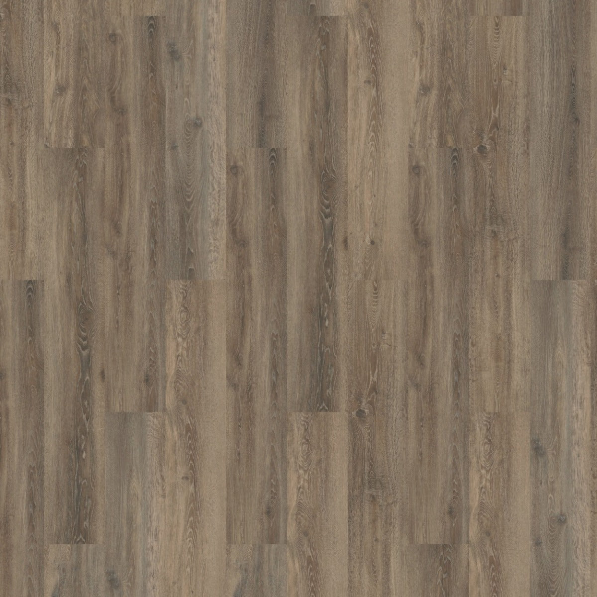mFLOR Authentic Oak XL 56317 Lombardia PVC vloer biedt een robuuste houtlook met lange, brede planken, perfect voor elke interieurstijl