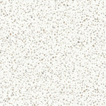 Moduleo Roots 55 Fiastra 46232 pvc tegel: duurzame vloer met een realistische terrazzo look, ideaal voor een moderne en elegante inrichting