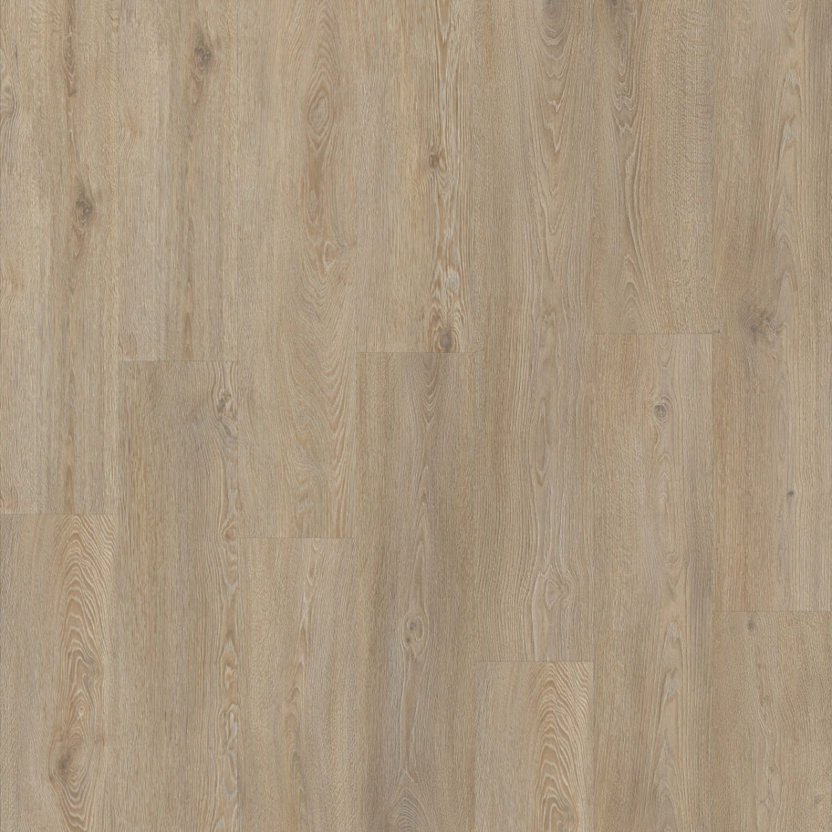 Moduleo Roots 55 EIR Galtymore Oak 86851 PVC vloer biedt een luxe eiken textuur en duurzame afwerking, perfect voor elke interieurstijl