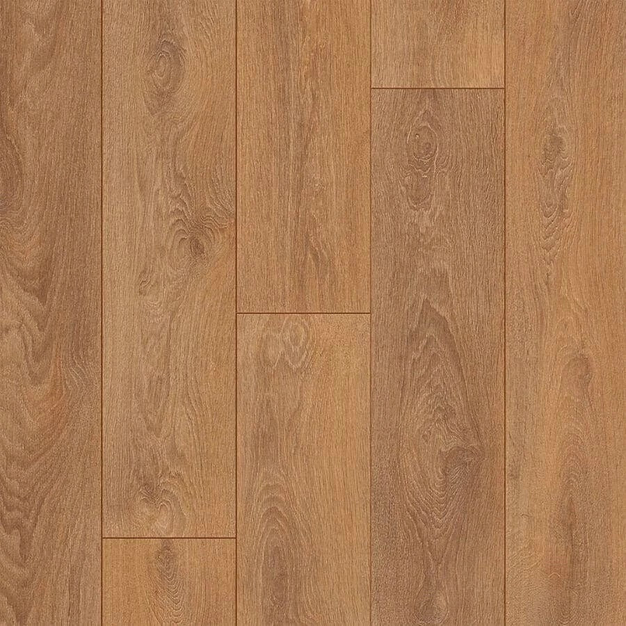 Otium Ritual Brown 04588