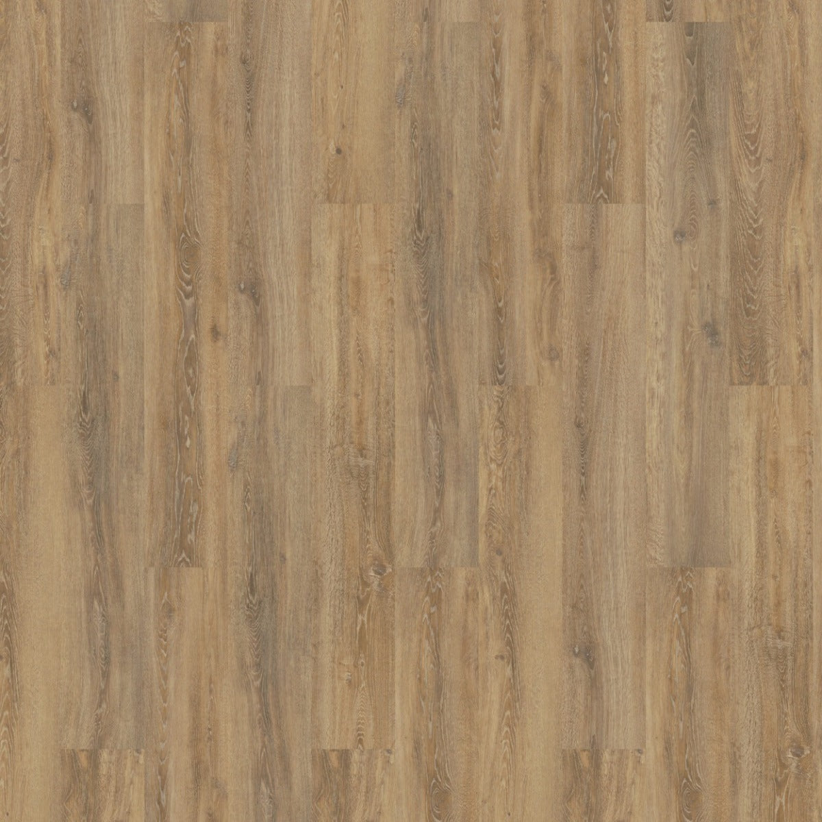 Solcora Oak Rigid Core 55915 Apulia pvc vloer, lichte eikenhoutlook voor een frisse en natuurlijke uitstraling in elke ruimte