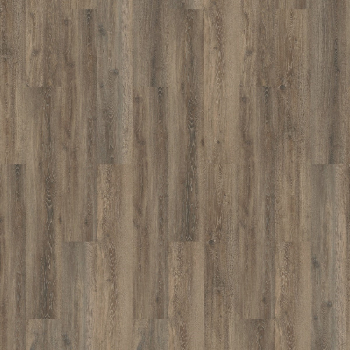 Solcora Oak Rigid Core 55917 Lombardia pvc vloer, warme eikenhoutlook voor een robuuste en tijdloze uitstraling in elke ruimte