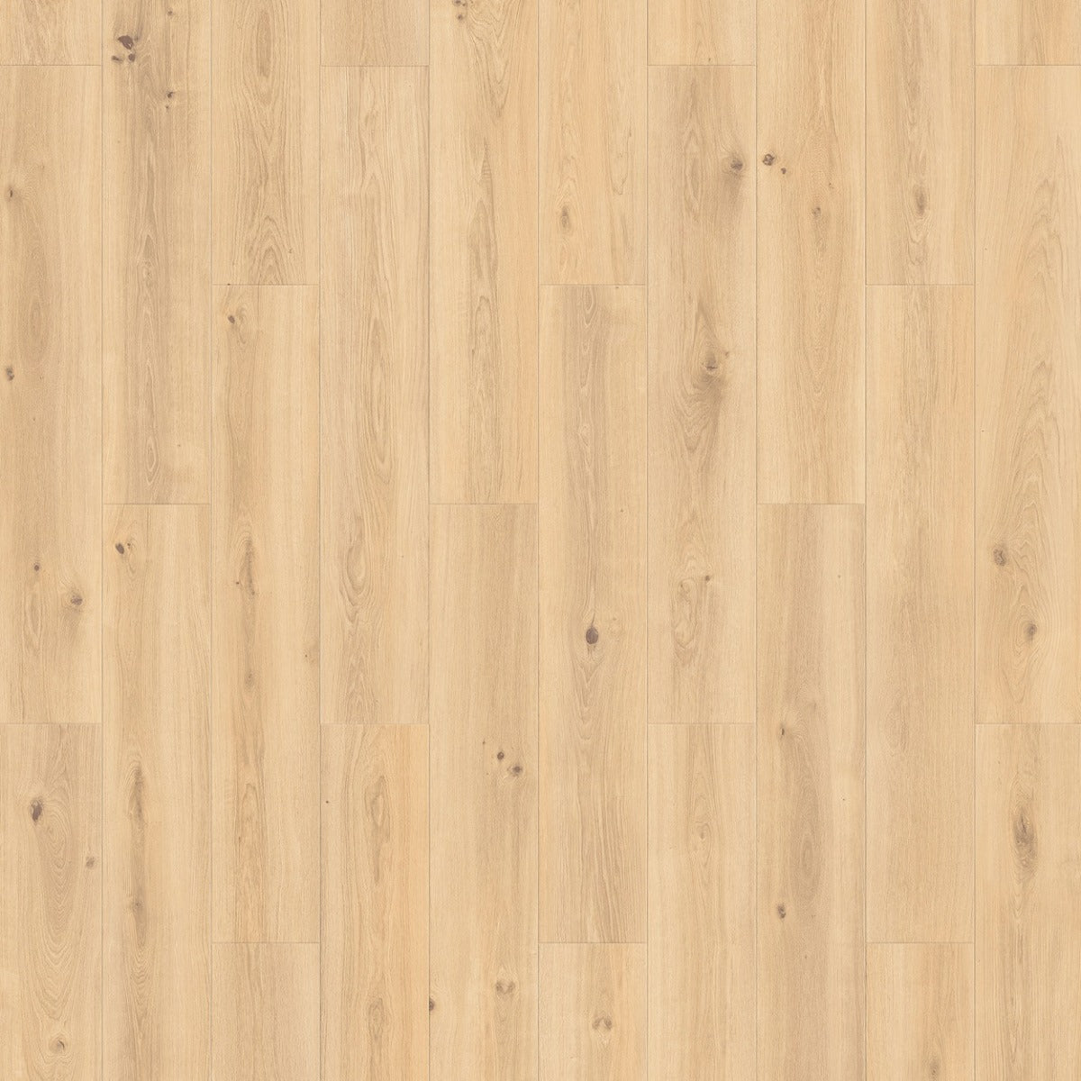 Tarkett iD Inspiration 55 Wood Creek Oak Beige pvc vloer, zachte beige eikentinten voor een lichte en verfijnde uitstraling in elk interieur