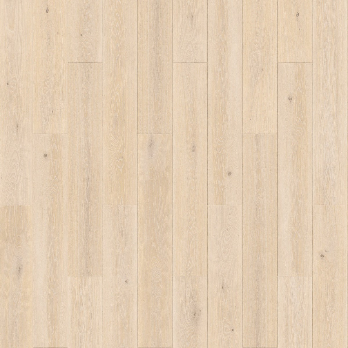 Tarkett iD Inspiration 55 Wood Highland Oak Cream pvc vloer, lichte eikentinten in crèmekleur voor een elegante uitstraling in elk interieur