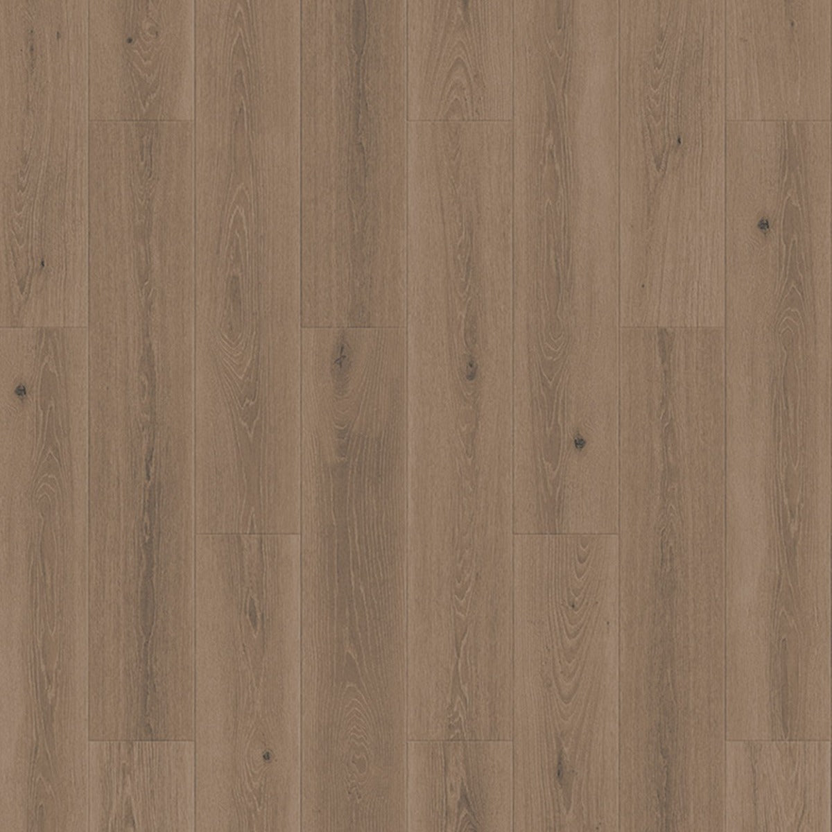 Tarkett iD Inspiration 55 Wood Highland Oak Light Grey pvc vloer, zachte lichtgrijze eikentinten voor een moderne uitstraling