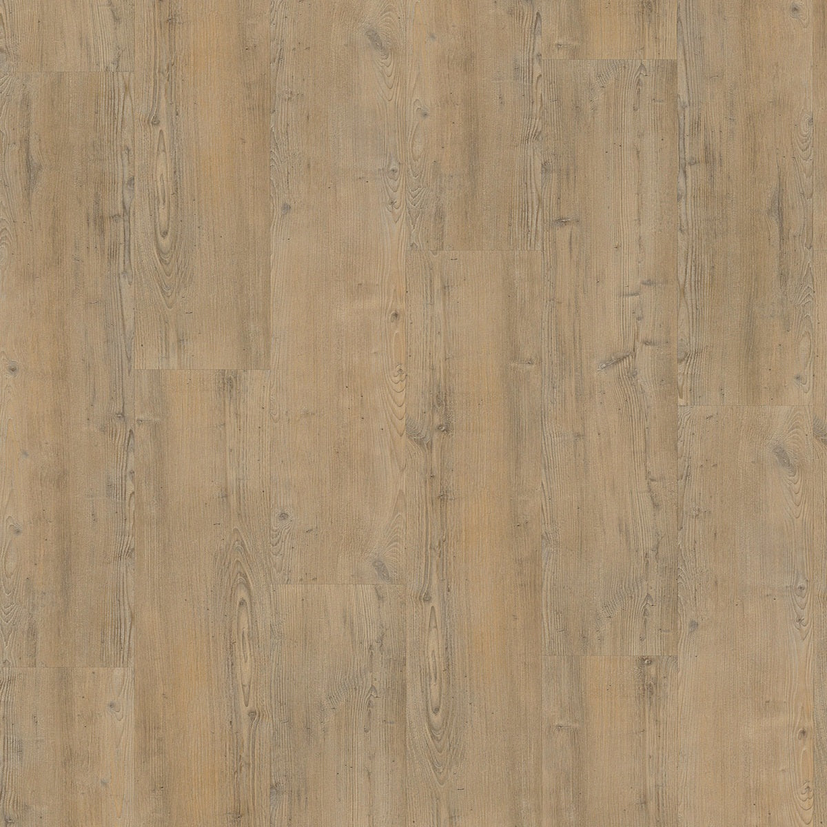 Vivafloors Naaldhout L4203: duurzame pvc vloer met een elegant naaldhouteffect, perfect voor een verfijnd interieur