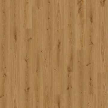 Tarkett iD Inspiration 55 Wood Delicate Oak Toffee 24514093